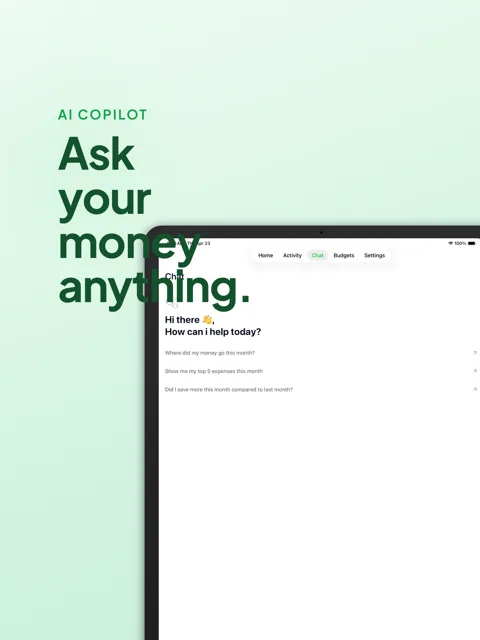 LedgerCopilot — screenshot 2